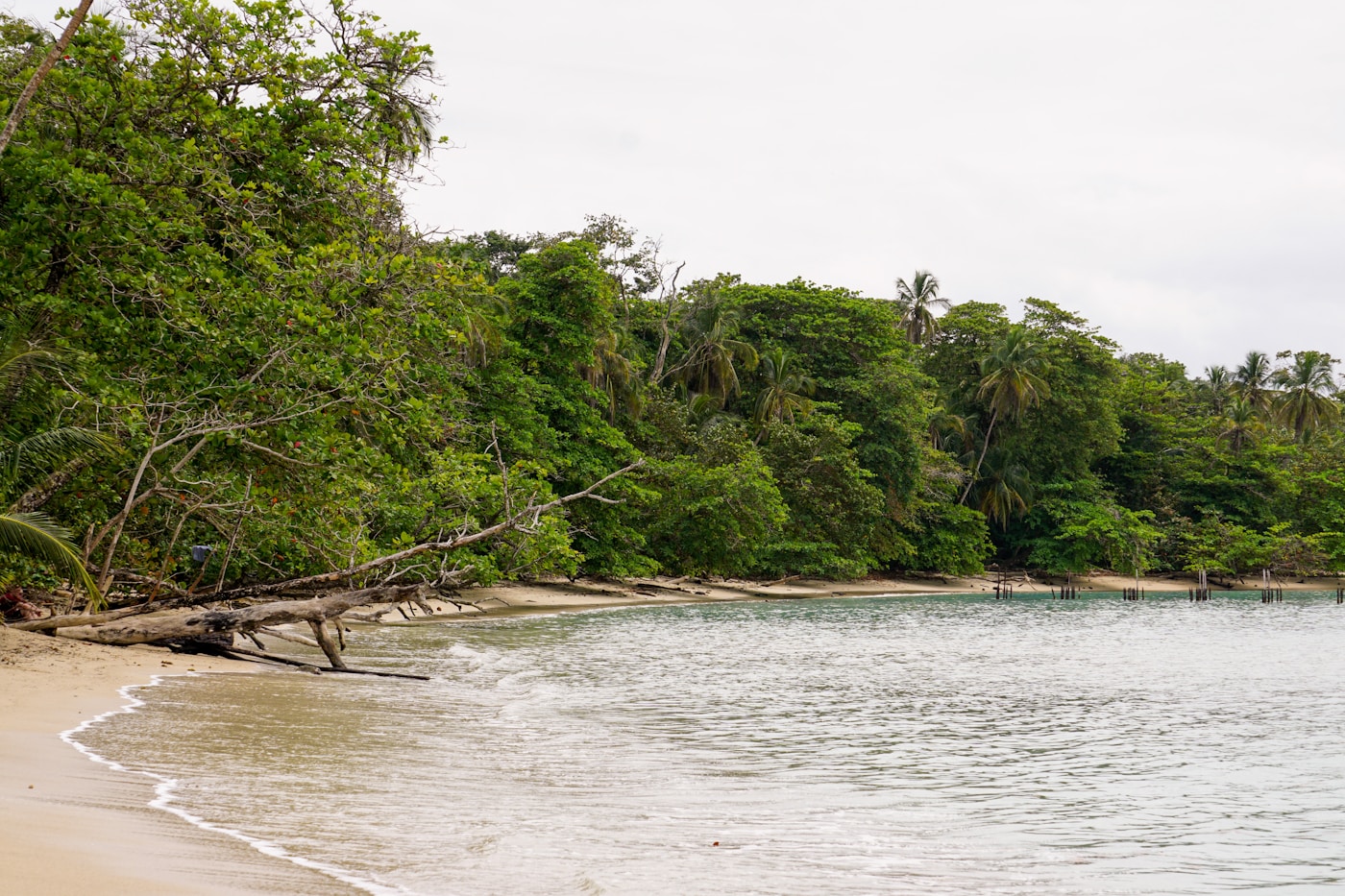 Gandoca-Manzanillo Wildlife Refuge